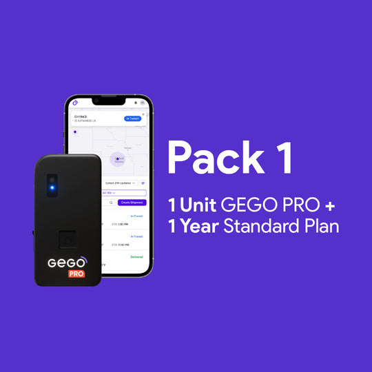 1 GEGO PRO + Annual Plan for Business