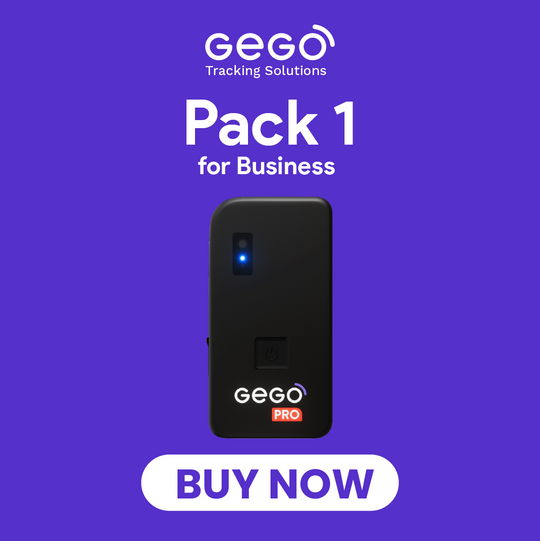 1 GEGO PRO + Annual Plan for Business