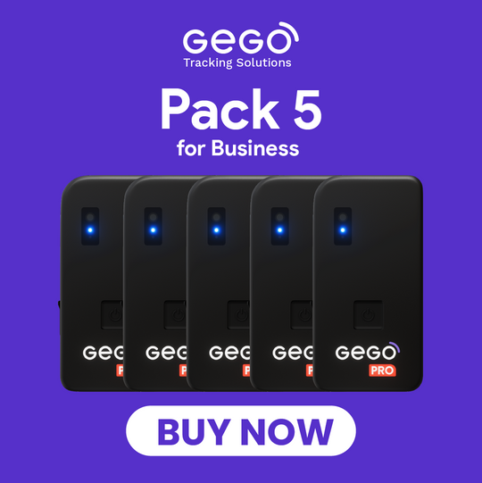 5 GEGO PRO + Annual Plan for Business