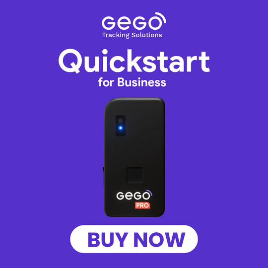 1 GEGO PRO + 3 Months Plan for Business